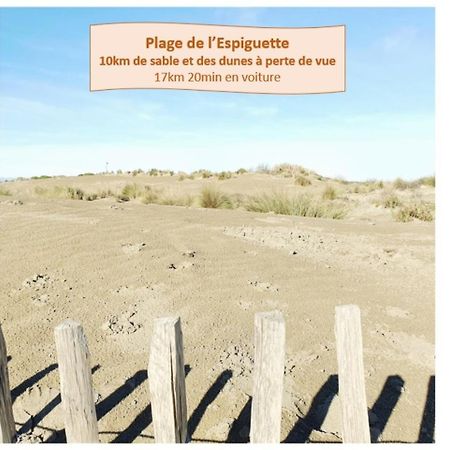 Suite Thalassa 1Ere Ligne Plages Du Couchant Wifi - Rossiconciergerie - Linge Inclus 라그랑모트 외부 사진
