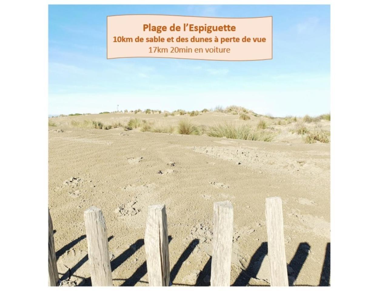 Suite Thalassa 1Ere Ligne Plages Du Couchant Wifi - Rossiconciergerie - Linge Inclus 라그랑모트 외부 사진